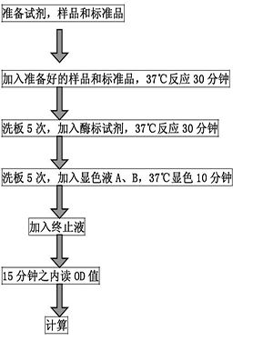 ת(TFR/CD71)elisaԼ