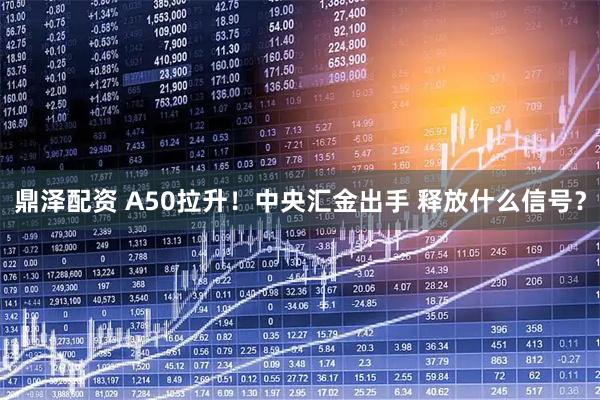 鼎泽配资 A50拉升！中央汇金出手 释放什么信号？