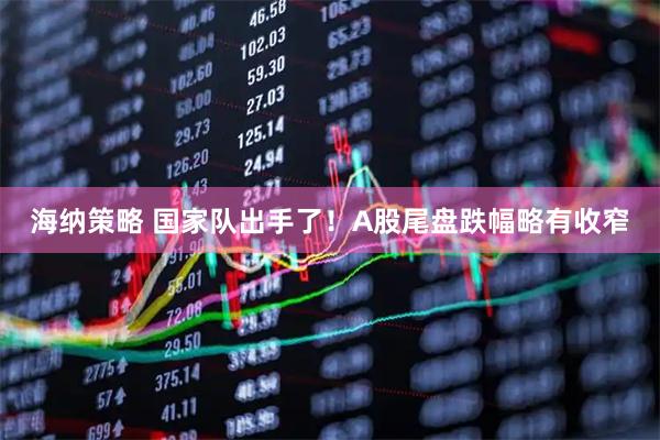 海纳策略 国家队出手了！A股尾盘跌幅略有收窄