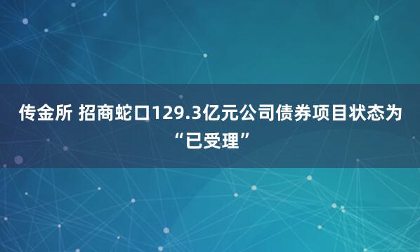 传金所 招商蛇口129.3亿元公司债券项目状态为“已受理”