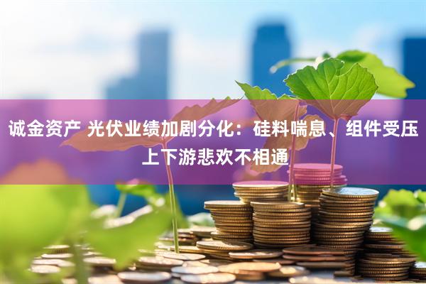 诚金资产 光伏业绩加剧分化：硅料喘息、组件受压 上下游悲欢不相通